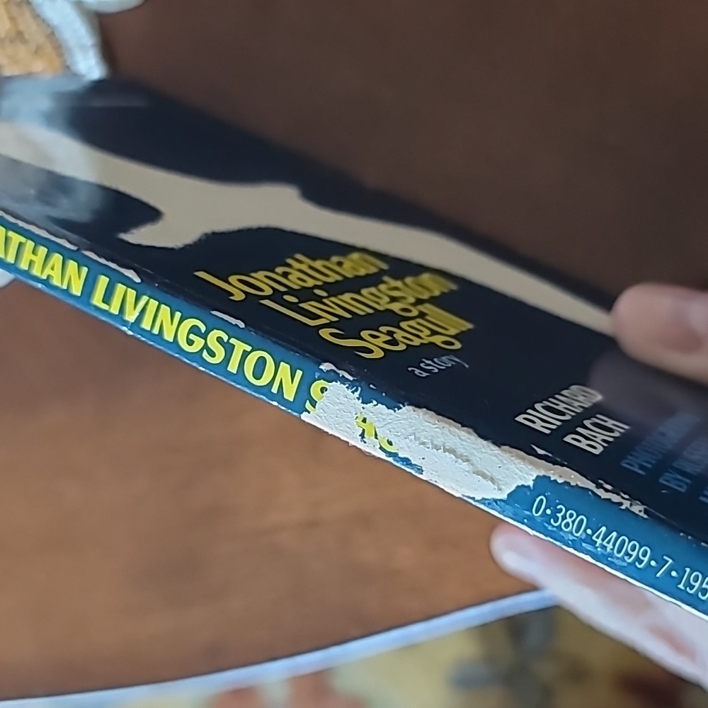 'Jonathan Livingston Seagull', 2 'The Cat Who...' & 'The Giver Of Stars' Books. - Picture 11 of 11